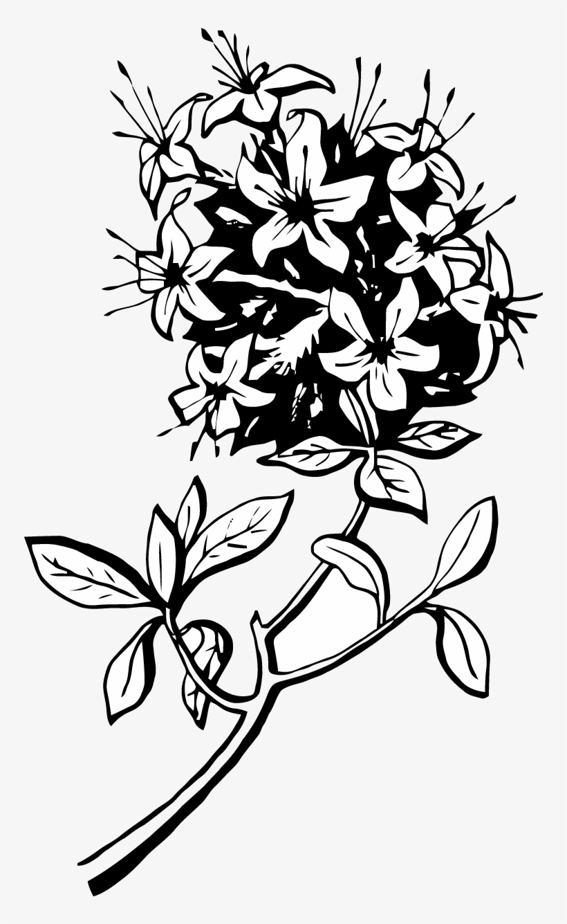 Clip Art, transparent png