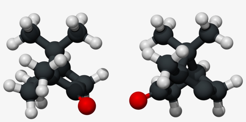 Alcanfor 3d Xray - Camphor Ball And Stick, transparent png