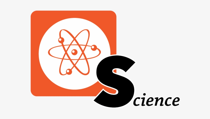 Steam Learning At Stepping Stone School - Illustration, transparent png