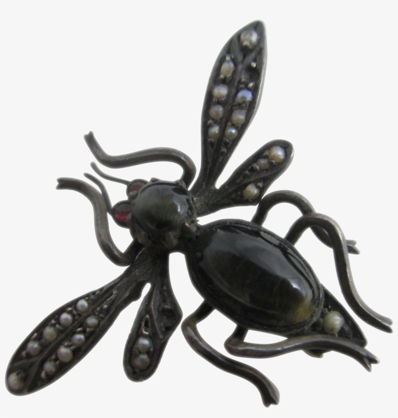 Cats Eye Seed Pearl Sterling Silver Bug Brooch Pin - Longhorn Beetle, transparent png