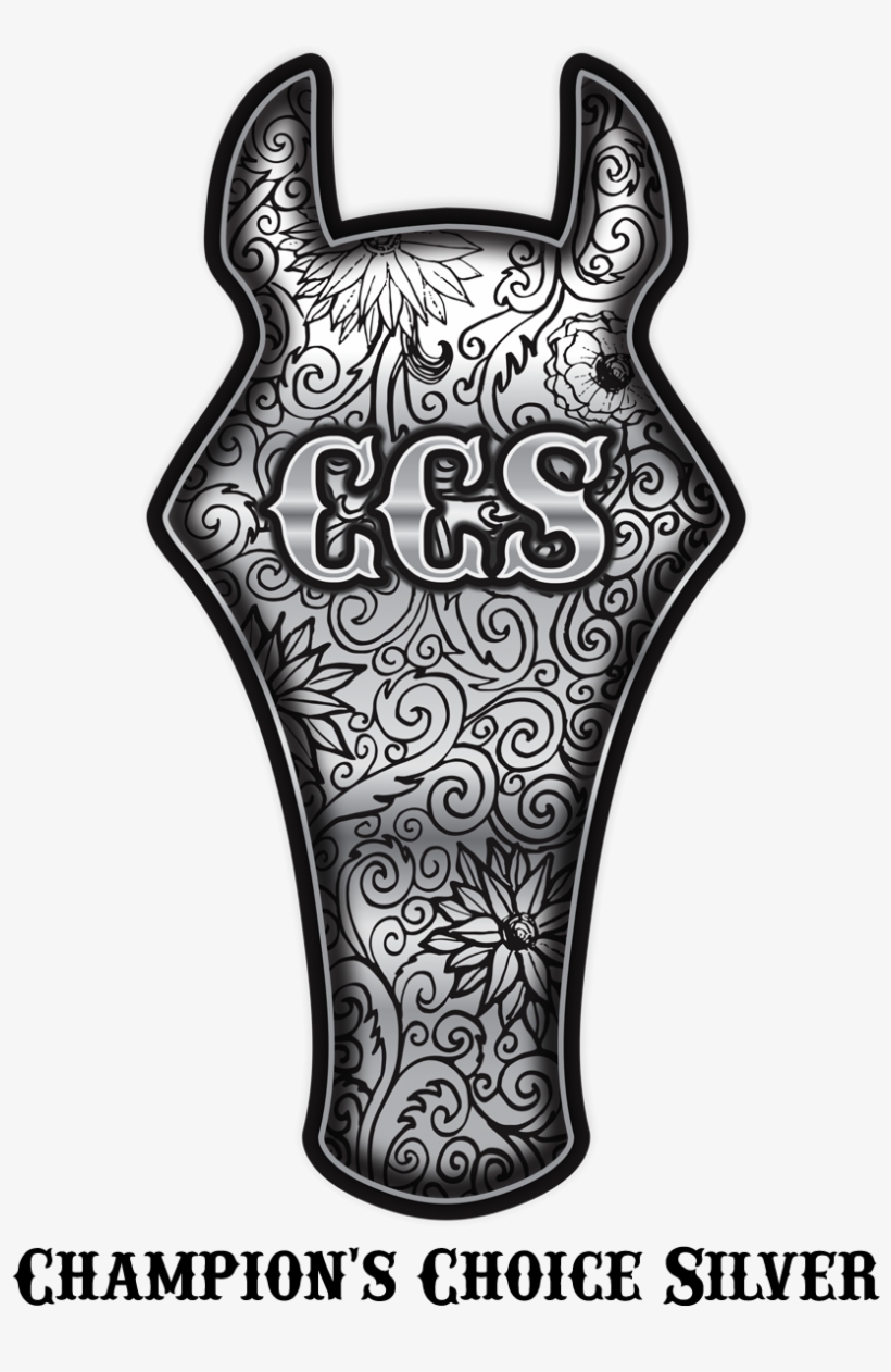 Coolhorse Champion Silver - Hard To Beat A Person Wall Plaque Art (10 X 15), Clear,, transparent png