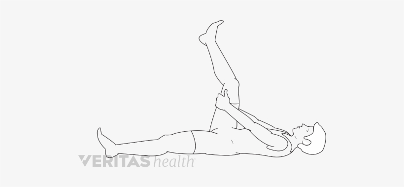 Hamstring Stretch - Lower Limb Stretches, transparent png