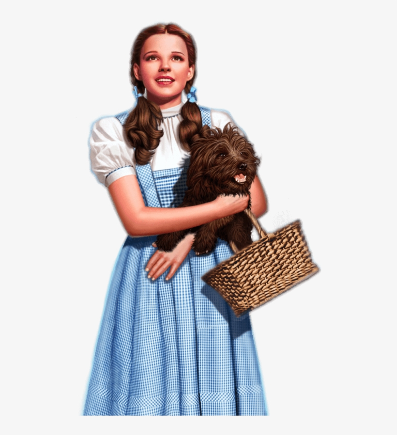 Download Case Study - Wizard Of Oz Dorothy Movie - 555x831 PNG Download