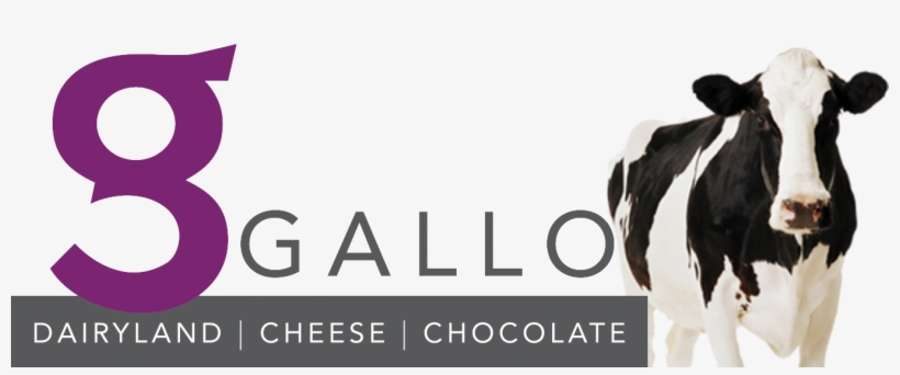 Holstein Cow, transparent png