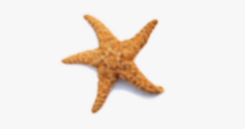 Star-blurred - Clip Art, transparent png