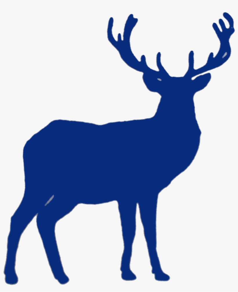 Forest Life - Reindeer Coloring For Adult, transparent png