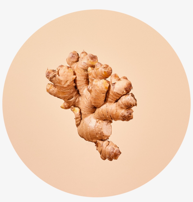 Misfit Ginger Still Circle@2x - Misfit, transparent png