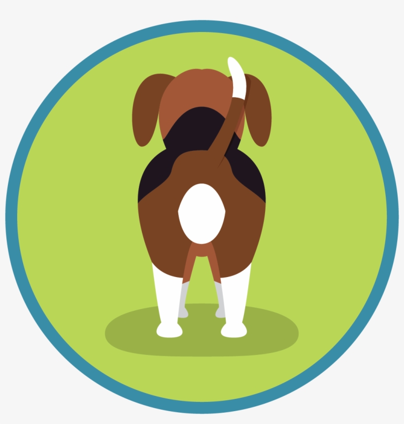 Fireworks And Dogs Dealing With Anxiety This Bonfire - University Of North Alabama, transparent png