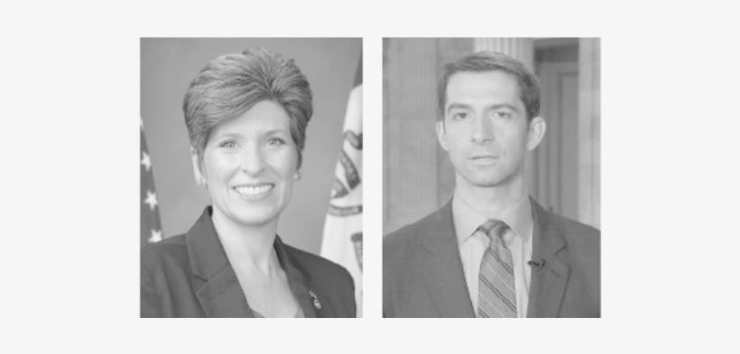 Support For Right To Work Act Keeps Rising - Joni Ernst Sexy, transparent png