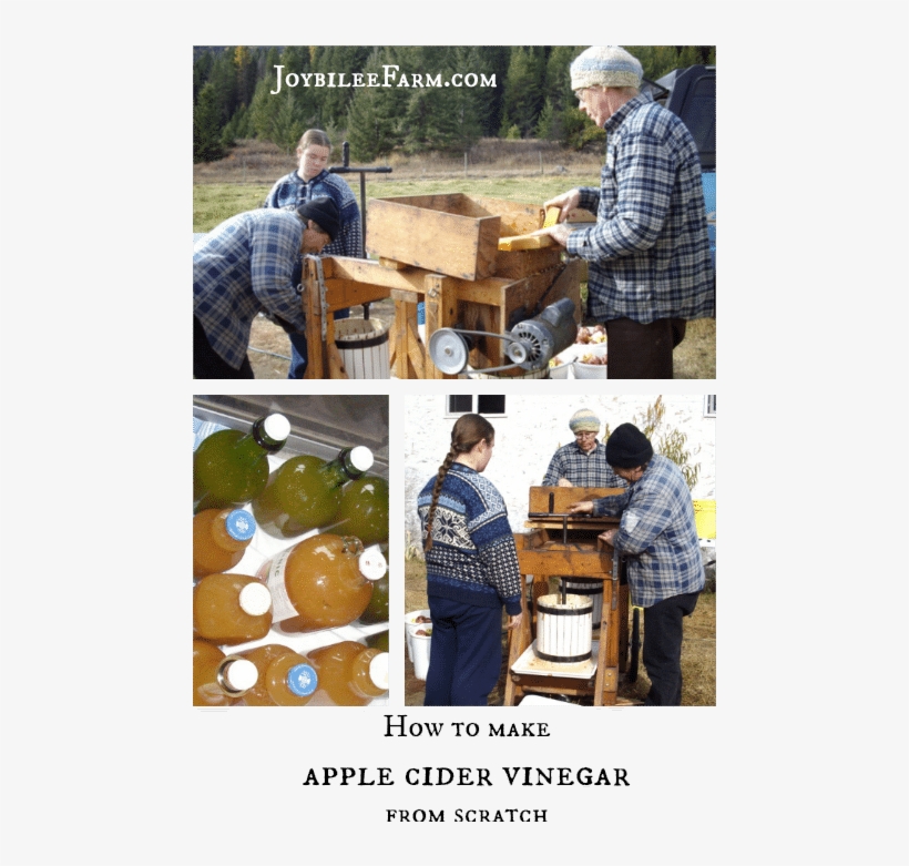 How To Make Apple Cider Vinegar - Apple Cider Vinegar, transparent png