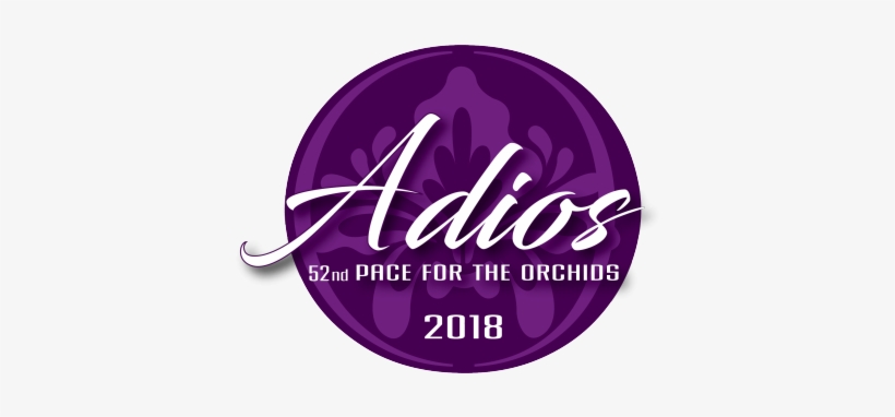 52 2018 Adios Logo Reverse - 2017 Adios, transparent png