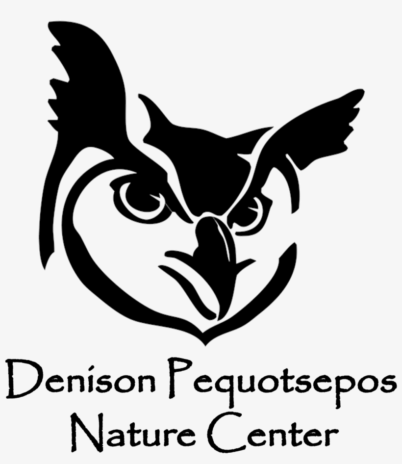 Life In A Rock Wall - Denison Pequotsepos Nature Center, transparent png