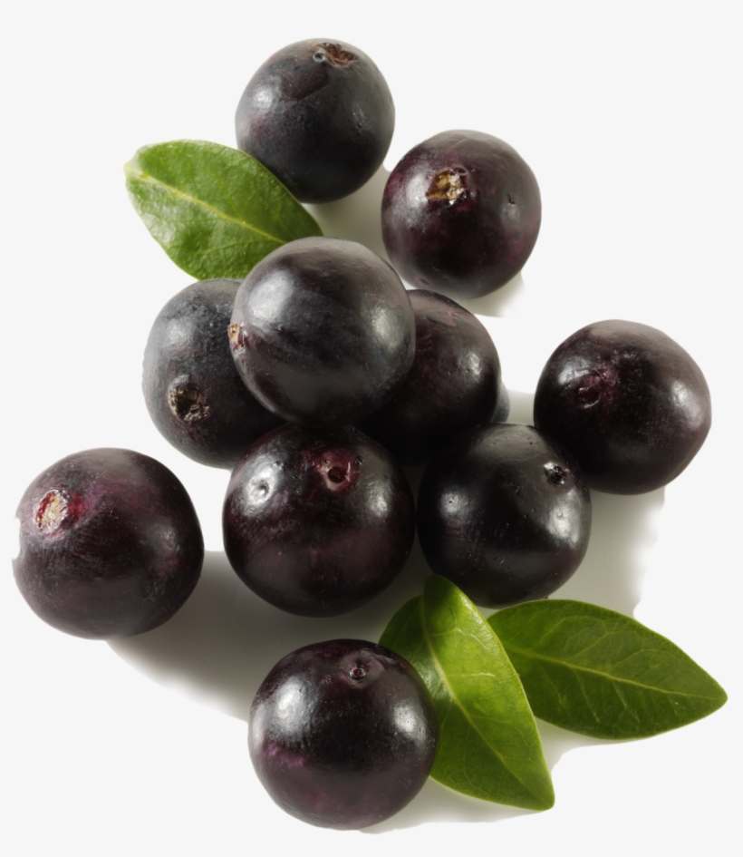 Acai - Açaí Palm, transparent png