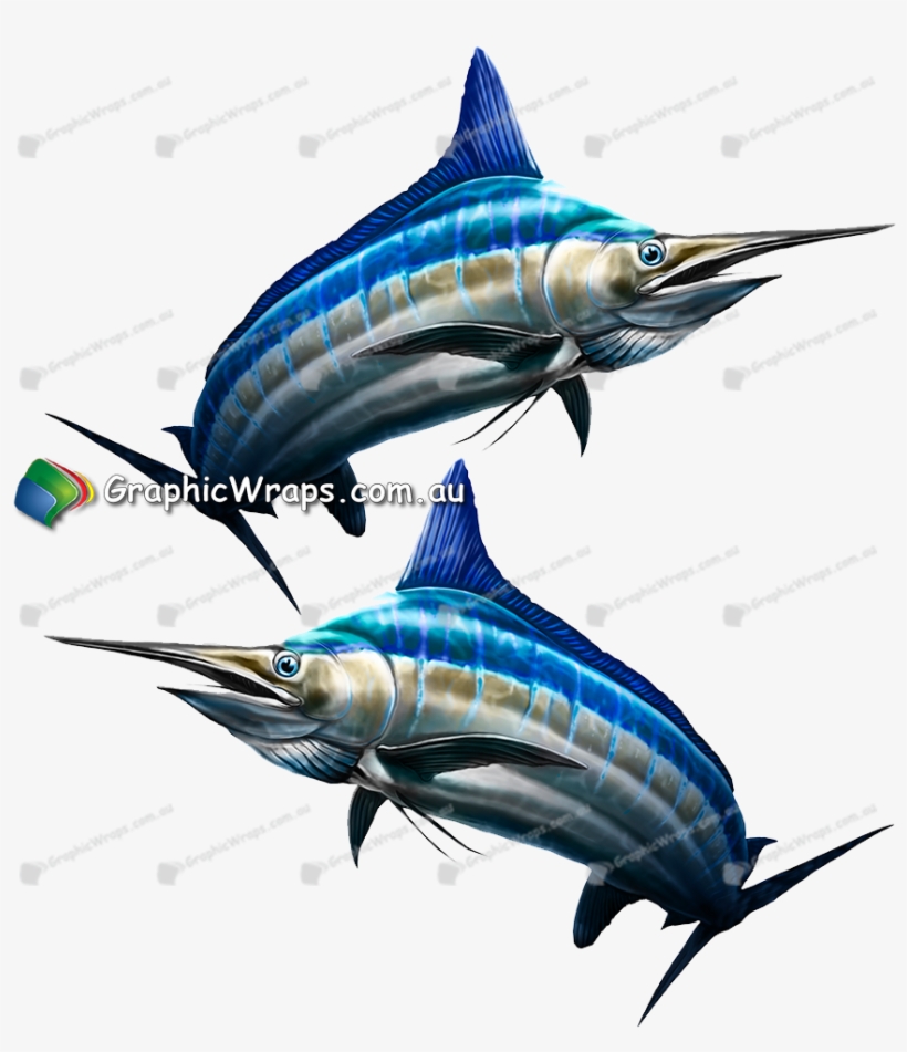 Marlin - Graphics, transparent png