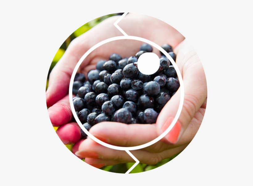 Click Açaí - Blueberry, transparent png