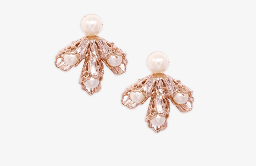 Pearl Bud Studs - Shell Earrings H&m, transparent png