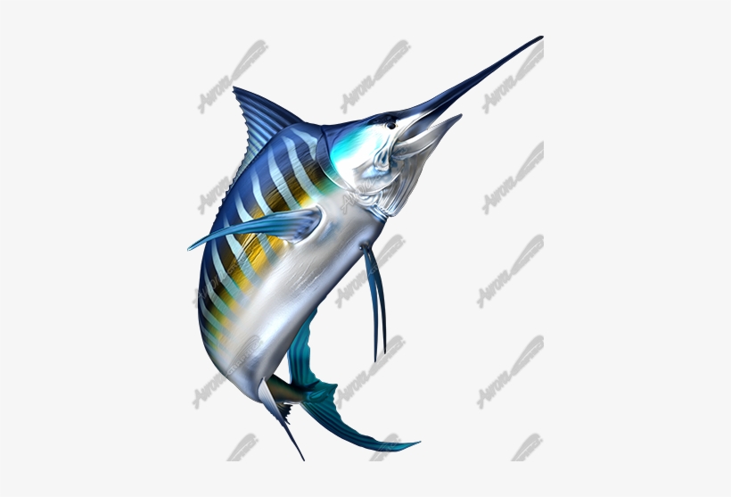 Striped Marlin - Blue Marlin Fish Png, transparent png