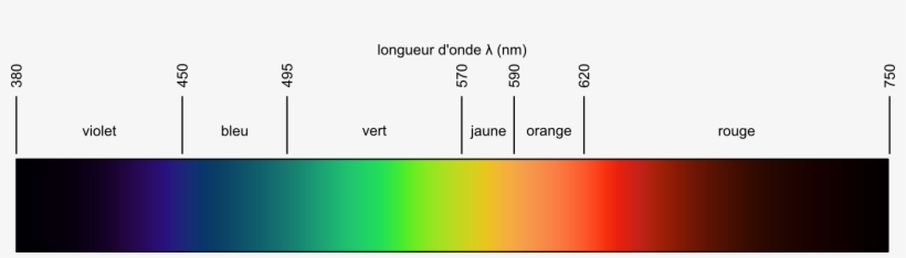 Spectre Visible Lineaire En Longueur D Onde - Number - 1665x395 PNG ...