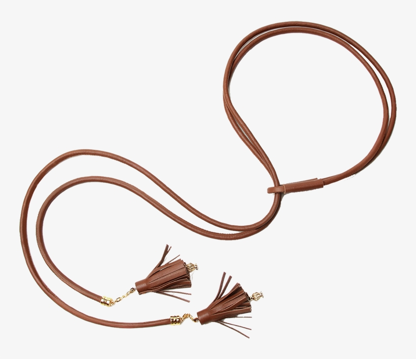 Wood, transparent png