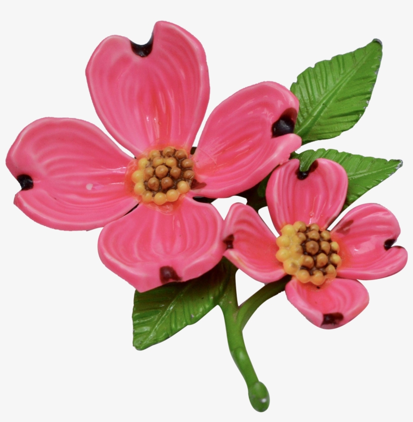 Bright Pink Enamel Dogwood Flower Brooch - Brooch, transparent png
