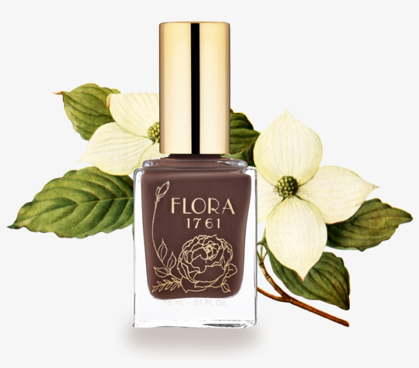 Nail Lacquer In Dogwood - Lacquer, transparent png