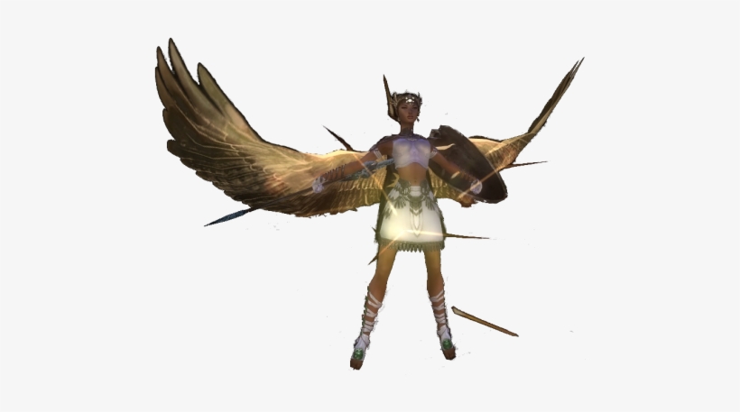 User Toasty Curo Abiem - Cliff Swallow, transparent png