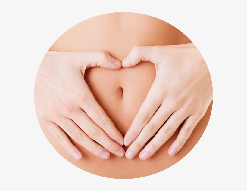 Feel Healthy, Light, Clean & Full Of Energy With Colon - Lestresorsdeva Infertility / Fertility Bracelet, transparent png