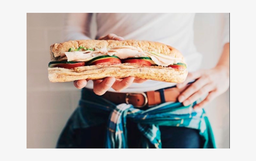 Palm Coast Observer, transparent png