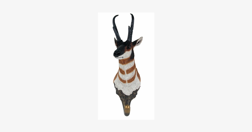 Antelope Wall Hook - Kudu, transparent png