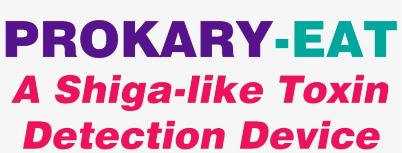 Vacation, transparent png