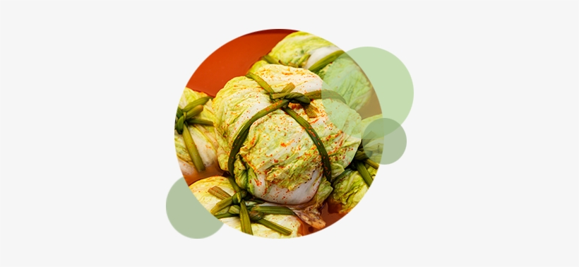 Understanding Kimchi Lactic Acid Bacteria - Side Dish, transparent png
