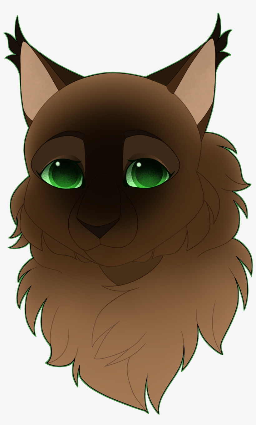 Headshot - Cat, transparent png