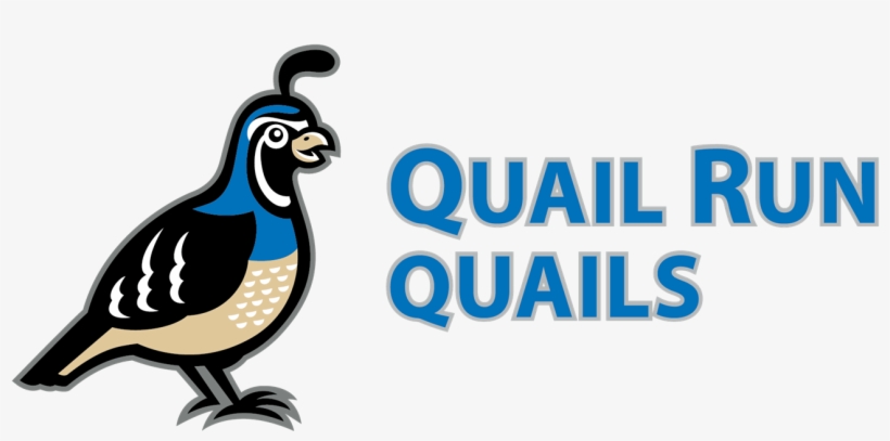 About Quail Run - Quail Run Elementary School In Phx Arizona, transparent png