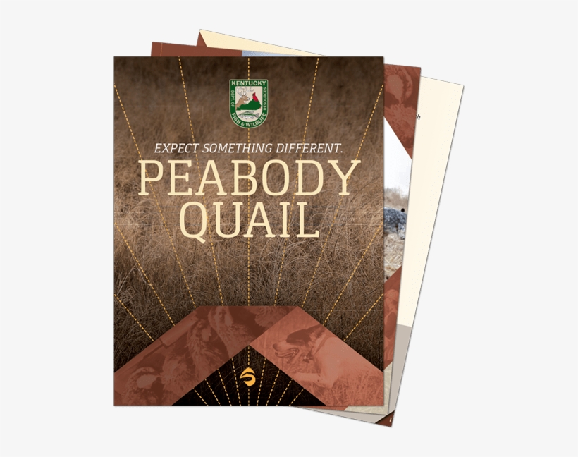 Banner, transparent png