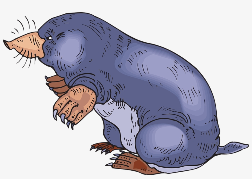 Blue Mole - Mole Images Clip Art, transparent png