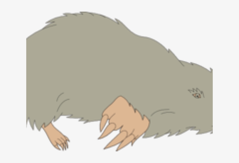 Mole Clipart Mole Hole - Grey, transparent png