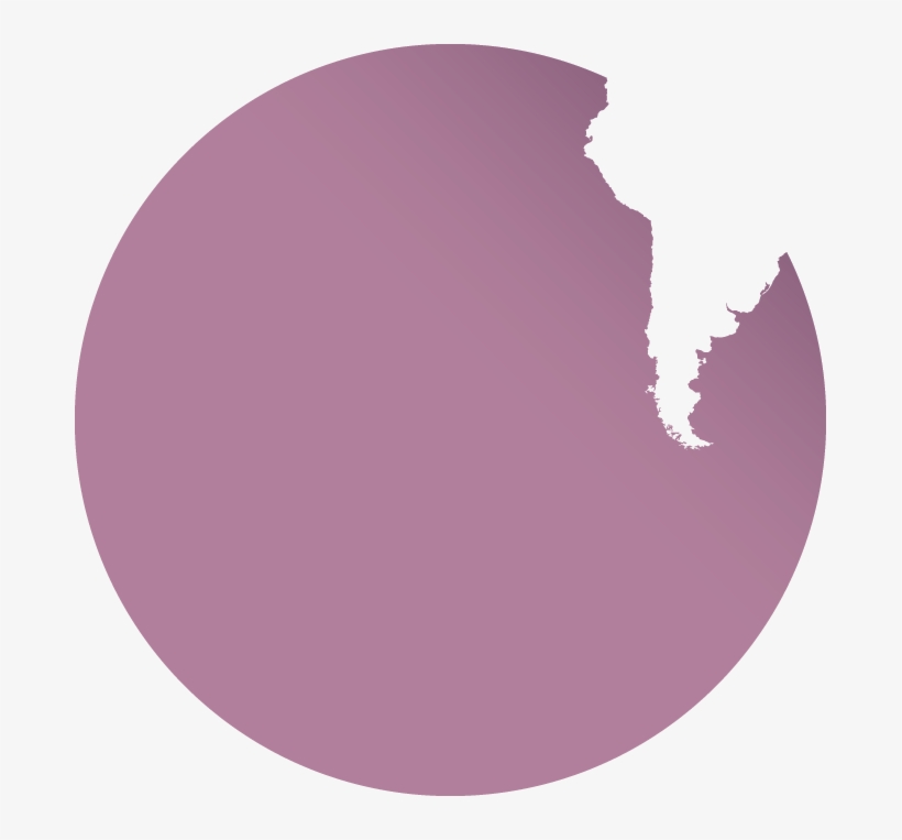 We Use Our Extensive International Network To Connect - Association Des États Généraux Des Étudiants De L'europe, transparent png