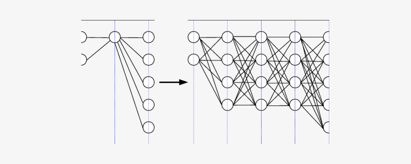 A Network Is First Growing And Then Pruning In Order - Diagram, transparent png