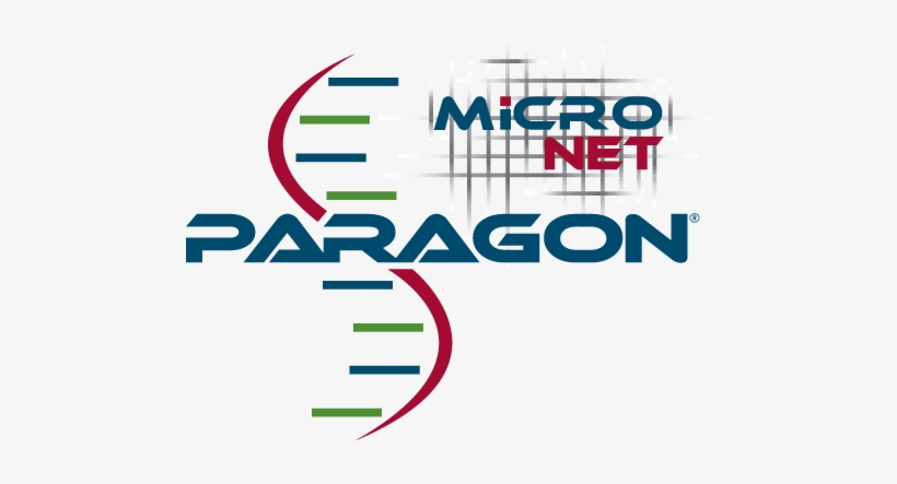 The Paragon Micronet Is Identical To The Standard Paragon - Medicine, transparent png