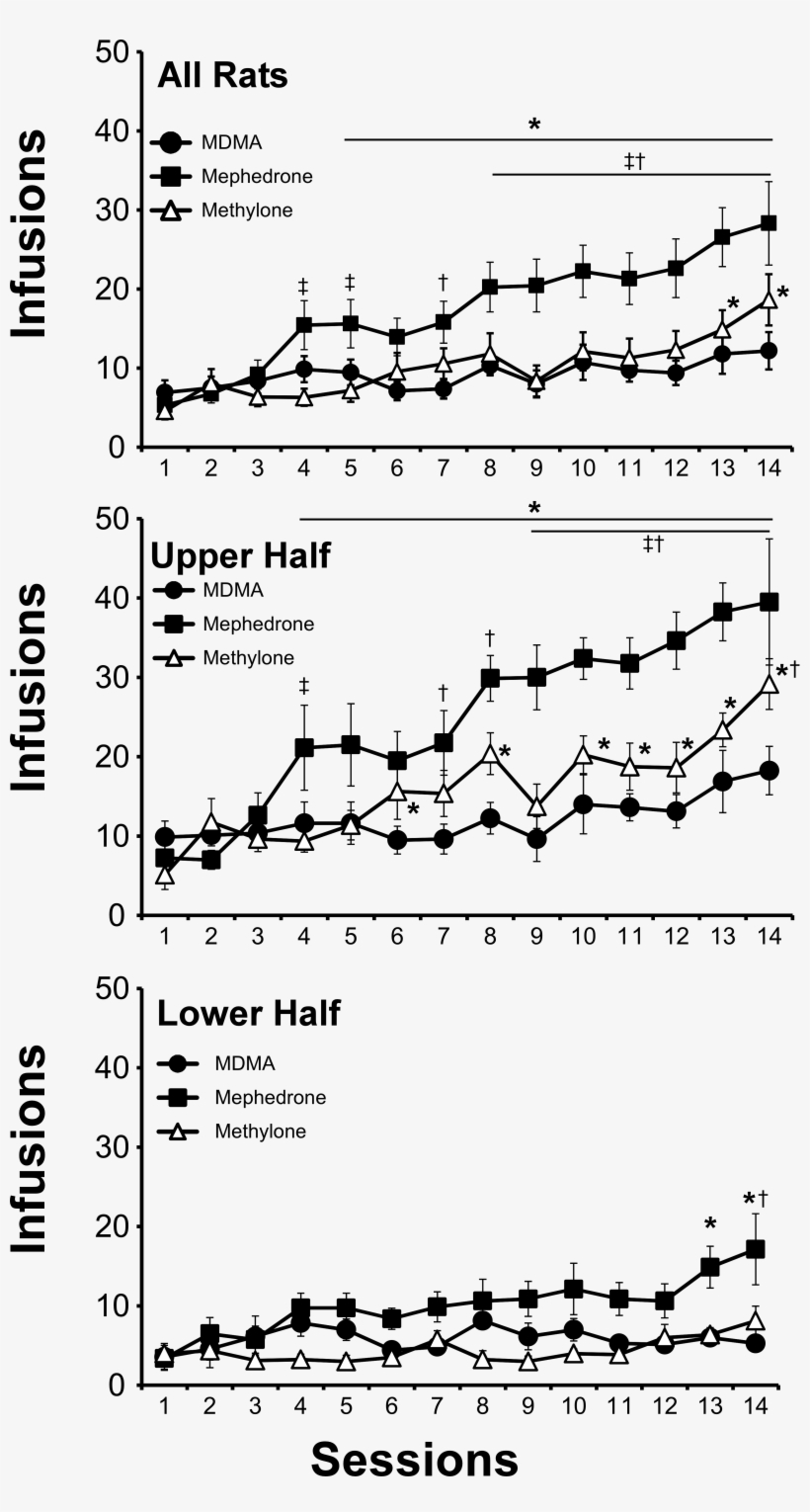 Creehan15 Fig2 Infusions - Diagram, transparent png