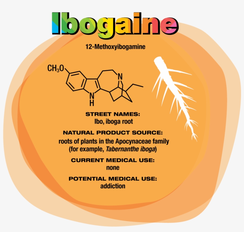 Hallucinogen, transparent png