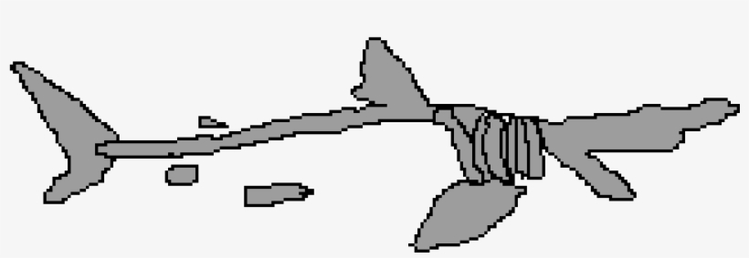 Hammer Head Shark Skull, transparent png
