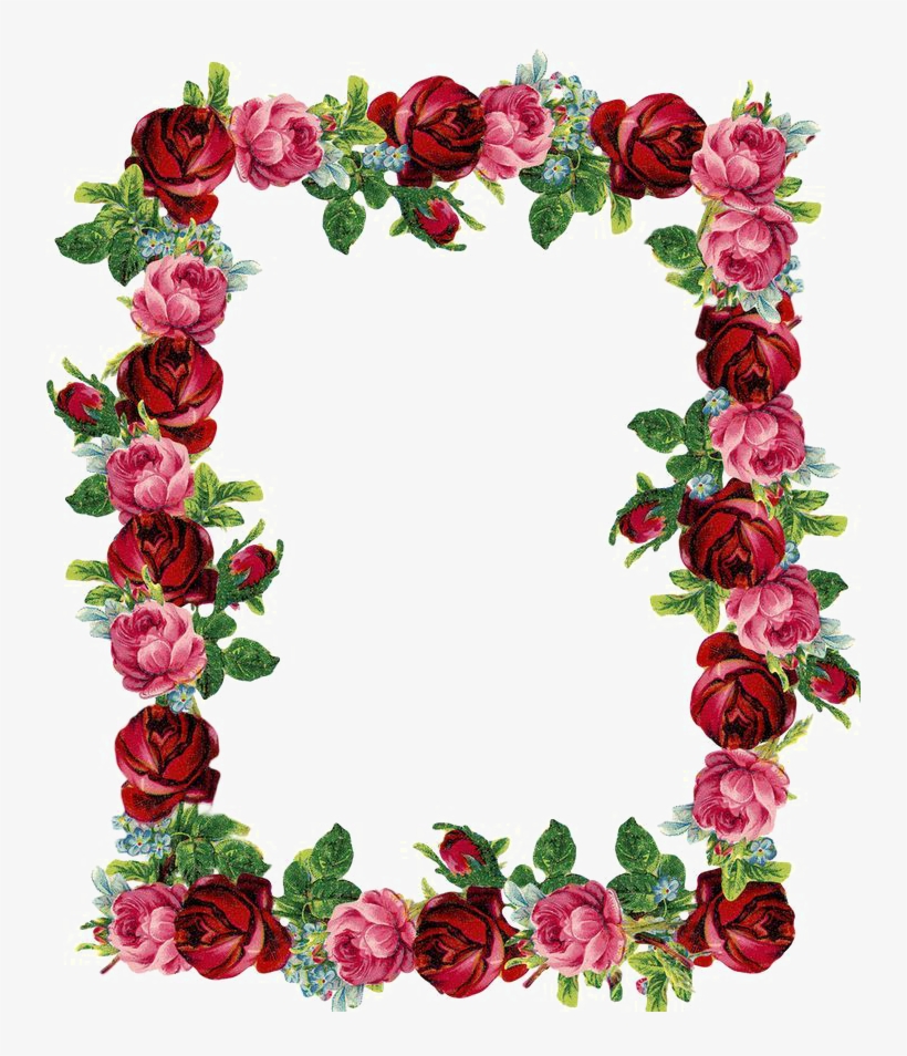 Red Floral Border Png Image - Rose Clip Art Borders, transparent png