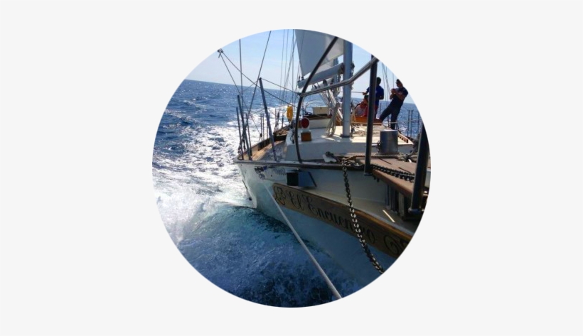 Sons-circular - Catamaran, transparent png