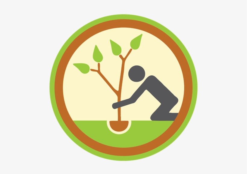 Tree Planting - Tree Planting Clip Art, transparent png