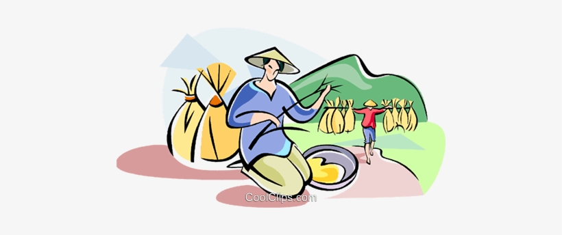 Chinese Farmer Planting Rice Royalty Free Vector Clip - Chinese Farmer Transparent Png, transparent png
