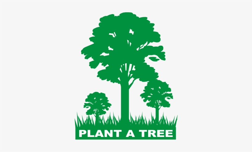 Koforidua, June 08, Gna-a Total Of 100 Trees Had Been - Tree Plantation And Maintenance, transparent png