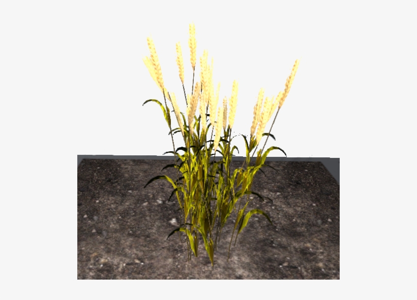 Empyrion Galactic Survival Grain, transparent png
