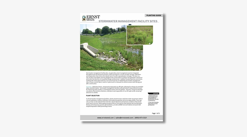 Stormwater Management Printable Planting Guide - Management, transparent png