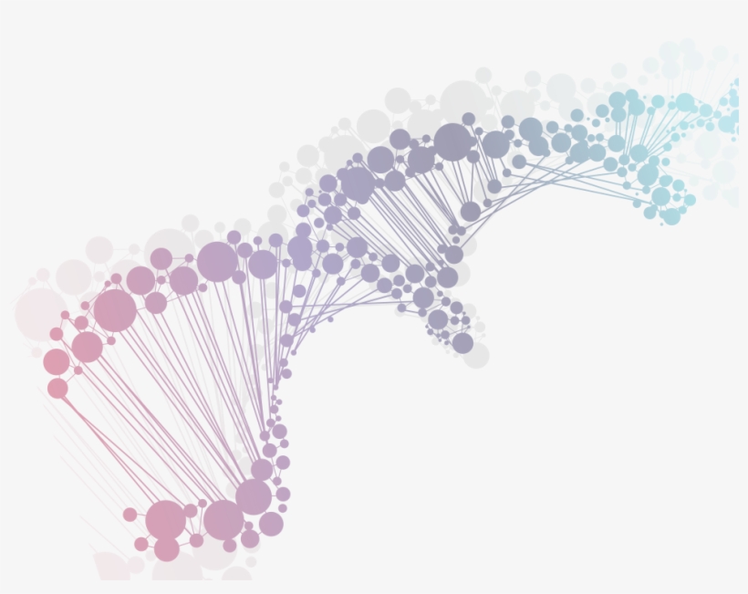 Undiagnosed Rare Disease Patient - Генетика Пнг, transparent png